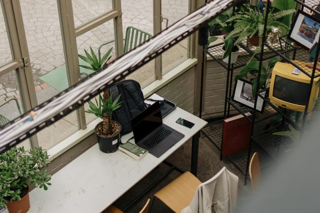 “Plantas em local com luz indireta e natural em ambiente interno.”