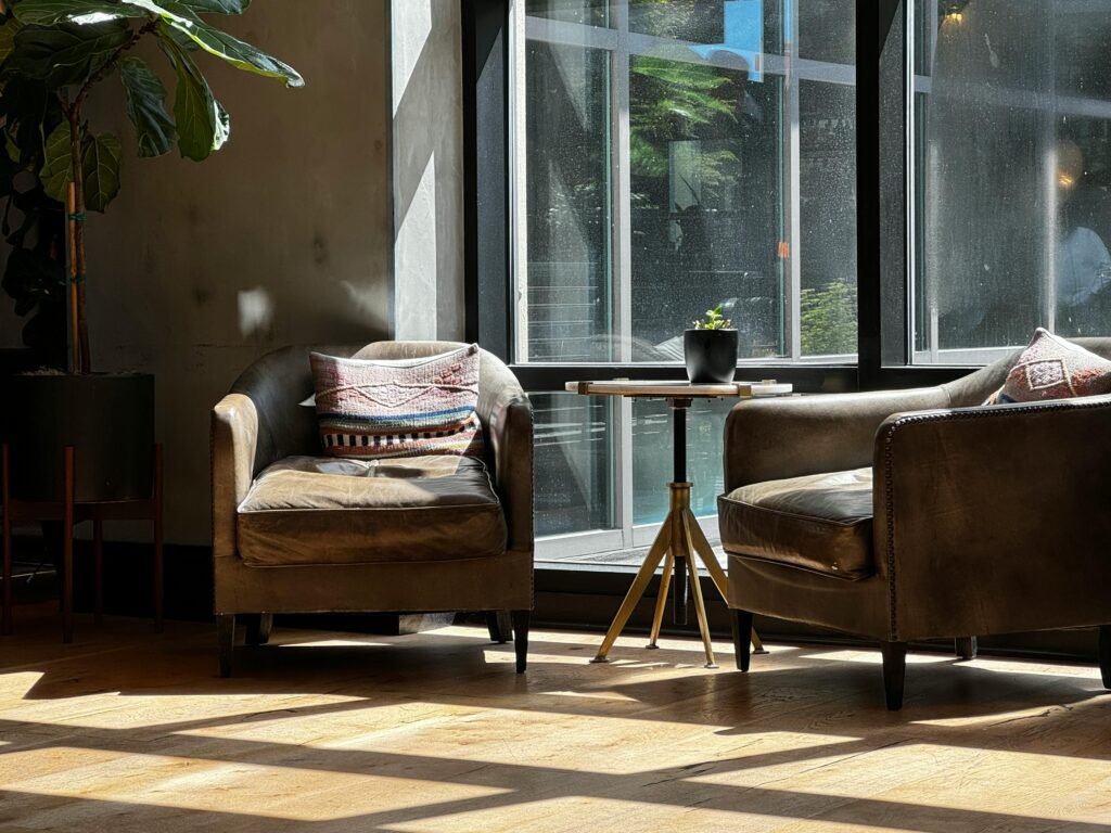 “Plantas em local com luz indireta e natural em ambiente interno.”