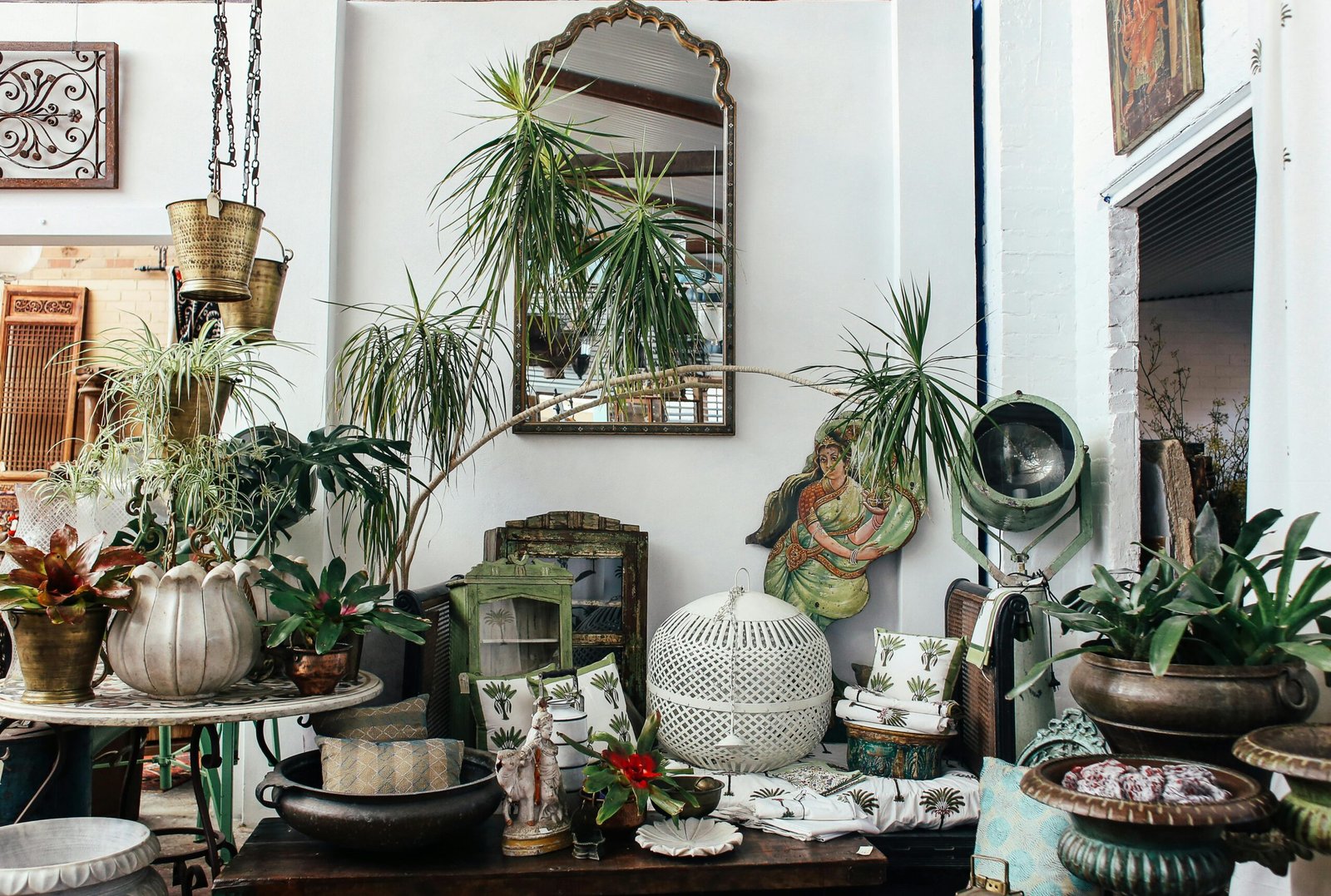 “Sala com plantas decorativas em vasos, como jiboia, zamioculca e lírio-da-paz.”
