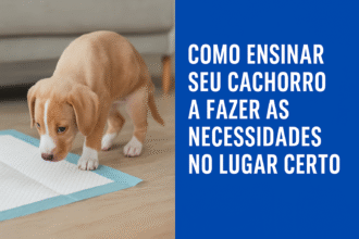 “Cachorro filhote aprendendo a usar tapete higiênico com reforço positivo”
